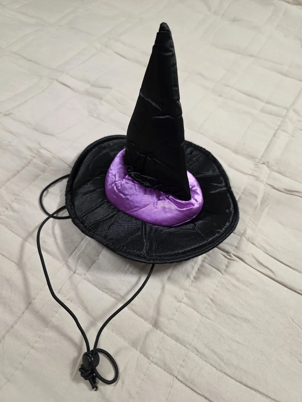 Witch Hat And Collar Costum/Accessories For Dog M/L Black Purple